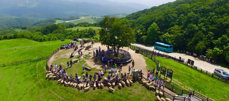 모바일 회사소개 이미지